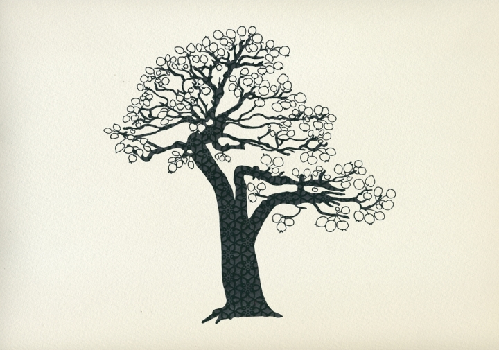 19_trees-lonley-tree